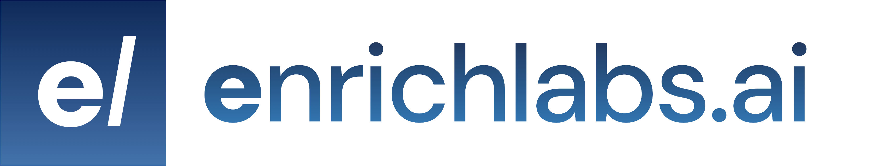 Enrich Labs